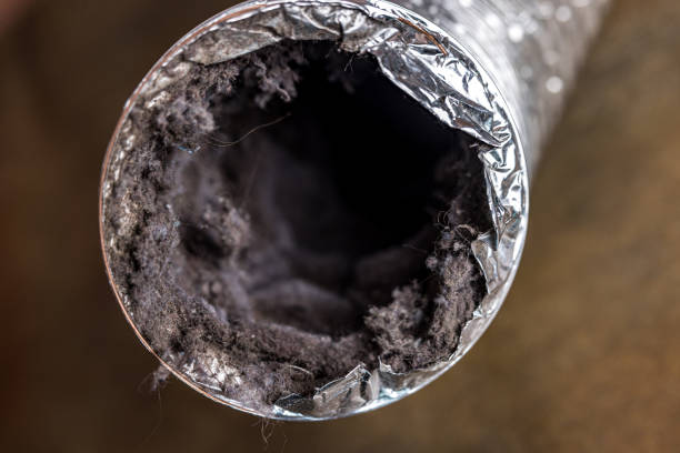 Best Affordable Duct Cleaning Services  in Nashville, MI